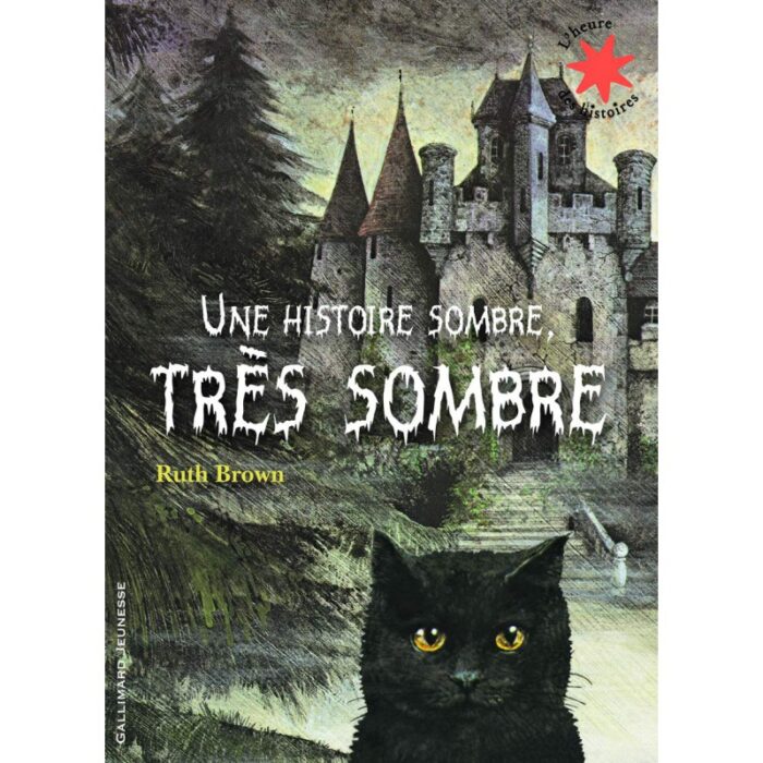 Une histoire sombre, très sombre ( 9782070632251 )