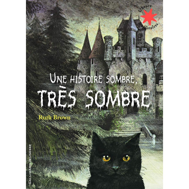 Une histoire sombre, très sombre ( 9782070632251 )