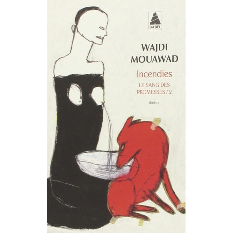Incendies ( 9782742793129 )