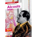 Alcools ( 9782401056800 )